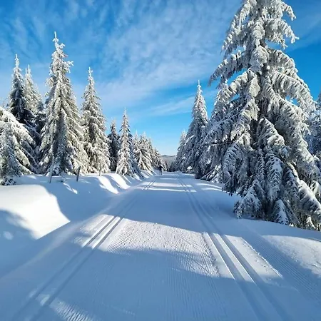Zeleny Prostorny Aparman V Ceskem Raji Koberovy