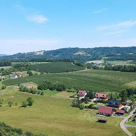 Zeleny Prostorny Aparman V Ceskem Raji Koberovy