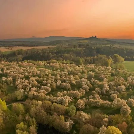 Zeleny Prostorny Aparman V Ceskem Raji Lägenhet Koberovy