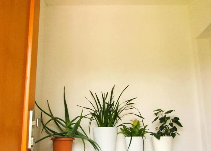 Zeleny Prostorny Aparman V Ceskem Raji Apartament Koberovy
